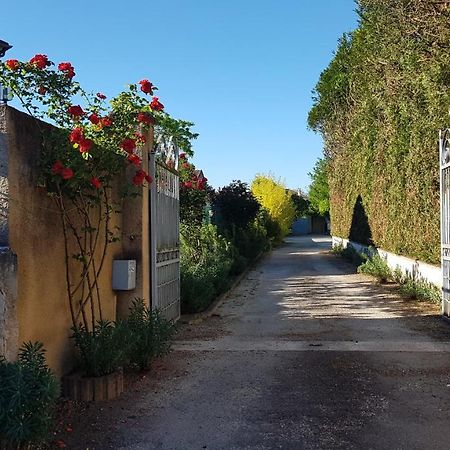 Gite Mercuès מראה חיצוני תמונה